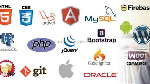 Digital Avinash - Digital Marketing Agency