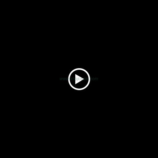Fi Havock Digital Private Limited