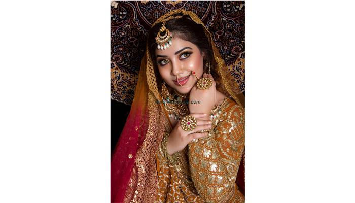 Bridal Mehndi Design
