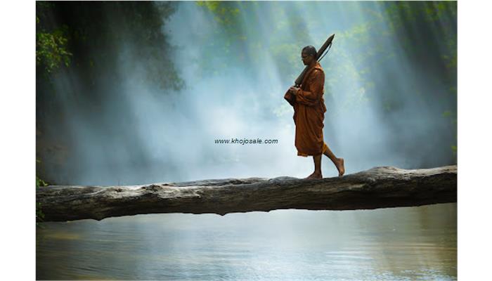 Rishi Natural - Vasundhara Enclave Delhi