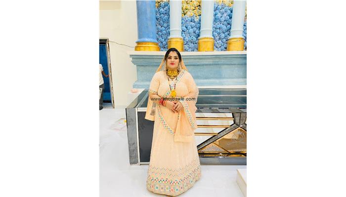 Bridal Mehndi Design